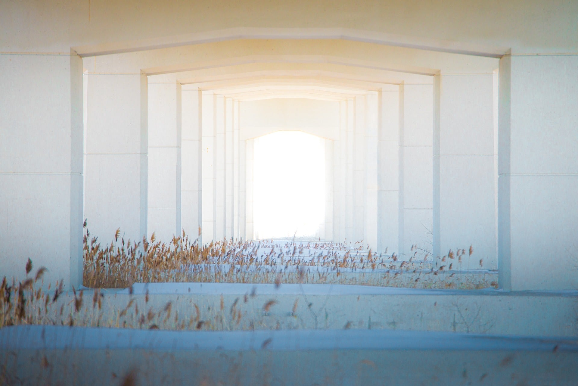 Kalenderwoche 11 / 09.03.26–15.03.26