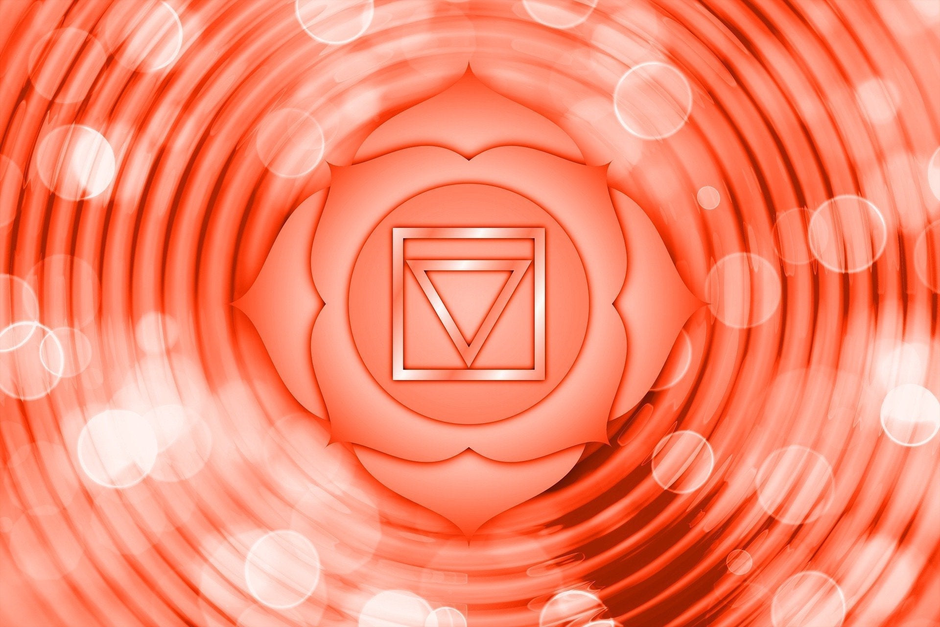 Das Wurzelchakra (Muladhara)