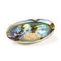 Regenbogen Abalone Räucherschale – Paua Muschel aus Neuseeland, ca. 15,5 cm