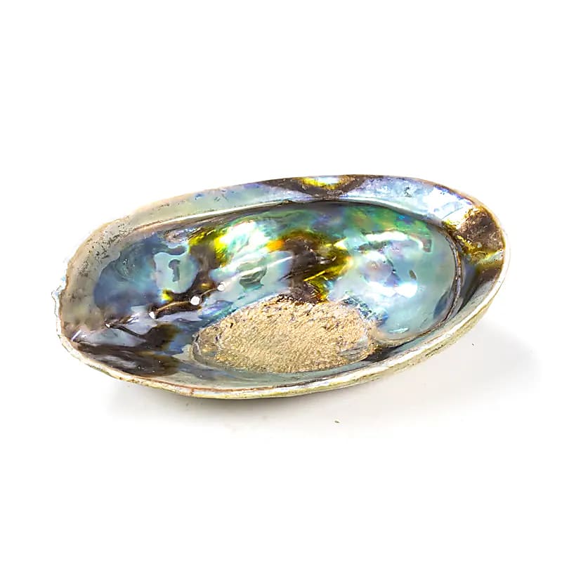 Regenbogen Abalone Räucherschale – Paua Muschel aus Neuseeland, ca. 15,5 cm